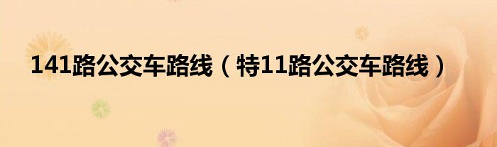 141路公交车路线（特11路公交车路线）