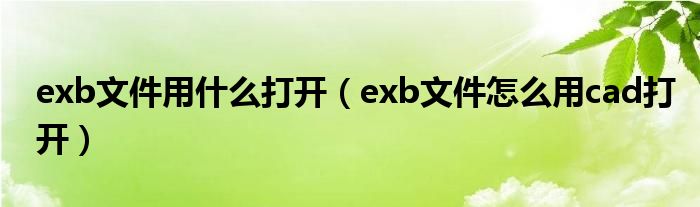 exb文件用什么打开（exb文件怎么用cad打开）