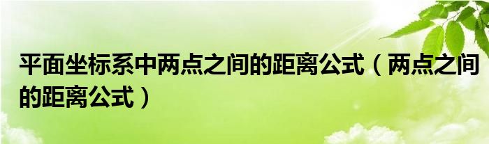 平面坐标系中两点之间的距离公式（两点之间的距离公式）