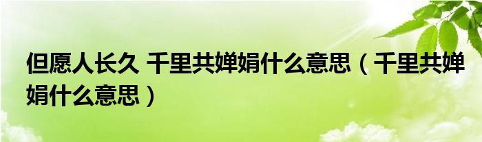 但愿人长久 千里共婵娟什么意思（千里共婵娟什么意思）