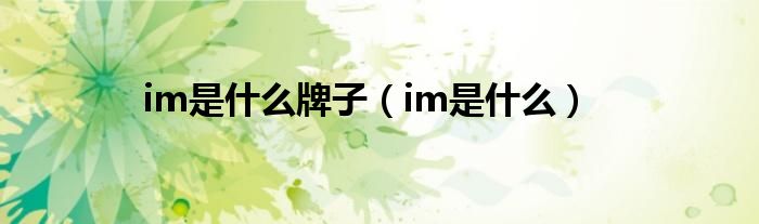 im是什么牌子（im是什么）