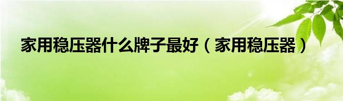 家用稳压器什么牌子最好（家用稳压器）