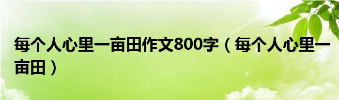 每个人心里一亩田作文800字（每个人心里一亩田）