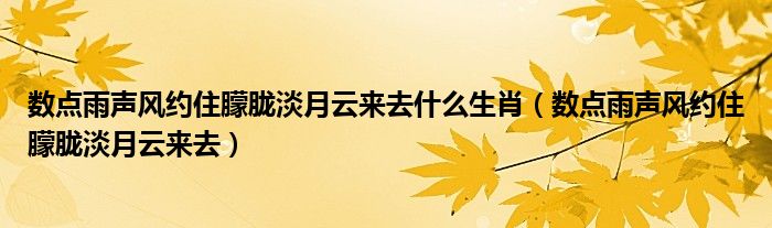 数点雨声风约住朦胧淡月云来去什么生肖（数点雨声风约住朦胧淡月云来去）