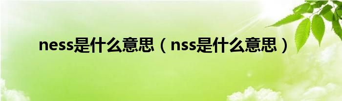 ness是什么意思（nss是什么意思）