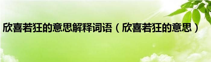 欣喜若狂的意思解释词语（欣喜若狂的意思）