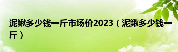 泥鳅多少钱一斤市场价2023（泥鳅多少钱一斤）