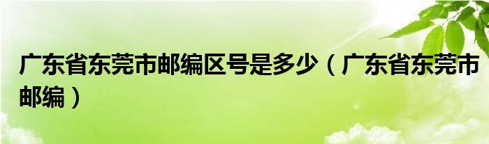 广东省东莞市邮编区号是多少（广东省东莞市邮编）