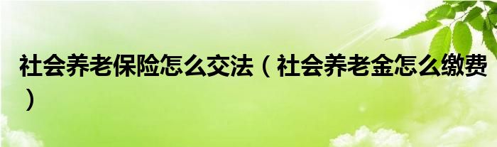 社会养老保险怎么交法（社会养老金怎么缴费）