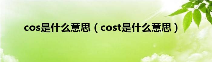 cos是什么意思（cost是什么意思）