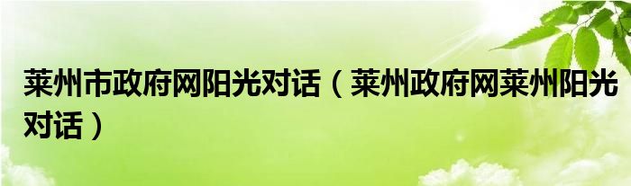 莱州市政府网阳光对话（莱州政府网莱州阳光对话）