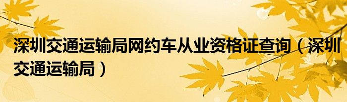 深圳交通运输局网约车从业资格证查询（深圳交通运输局）