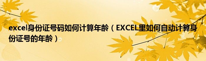 excel身份证号码如何计算年龄（EXCEL里如何自动计算身份证号的年龄）