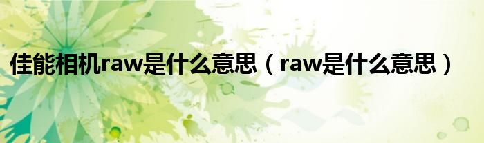 佳能相机raw是什么意思（raw是什么意思）