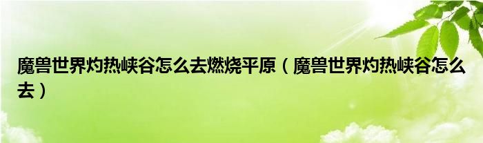 魔兽世界灼热峡谷怎么去燃烧平原（魔兽世界灼热峡谷怎么去）