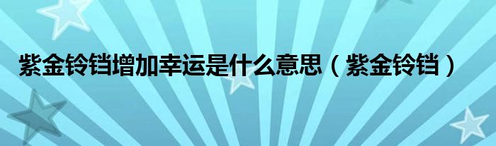 紫金铃铛增加幸运是什么意思（紫金铃铛）