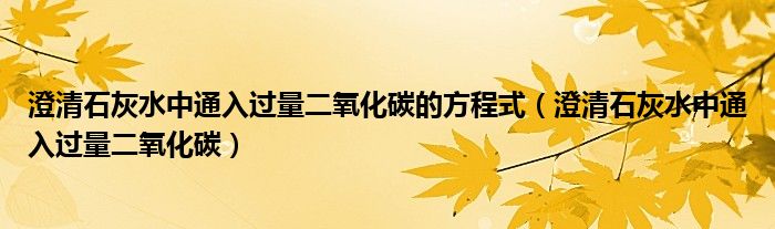 澄清石灰水中通入过量二氧化碳的方程式（澄清石灰水中通入过量二氧化碳）