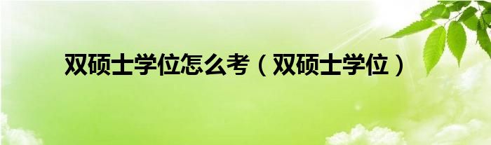 双硕士学位怎么考（双硕士学位）