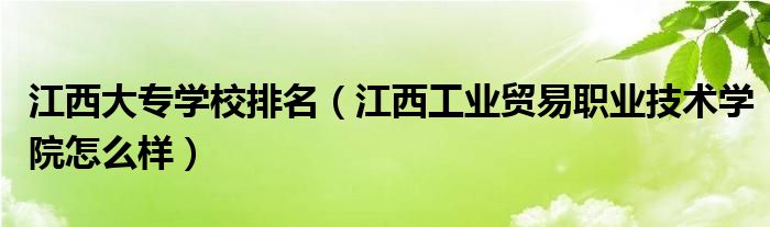 江西大专学校排名（江西工业贸易职业技术学院怎么样）