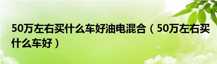 50万左右买什么车好油电混合（50万左右买什么车好）