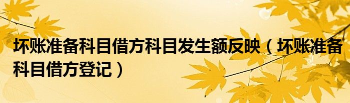 坏账准备科目借方科目发生额反映（坏账准备科目借方登记）