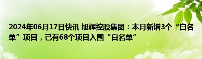 2024年06月17日快讯 旭辉控股集团：本月新增3个“白名单”项目，已有68个项目入围“白名单”