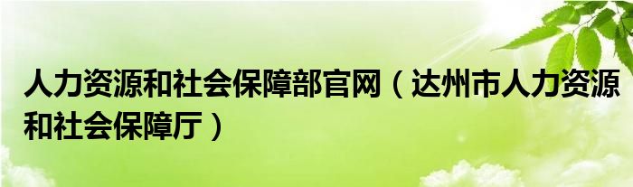 人力资源和社会保障部官网（达州市人力资源和社会保障厅）