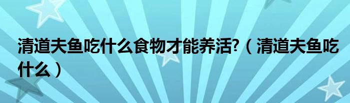 清道夫鱼吃什么食物才能养活?（清道夫鱼吃什么）