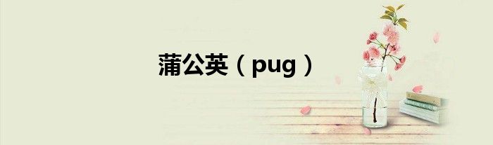 蒲公英（pug）