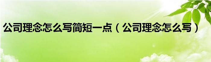 公司理念怎么写简短一点（公司理念怎么写）