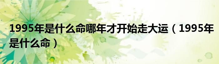 1995年是什么命哪年才开始走大运（1995年是什么命）