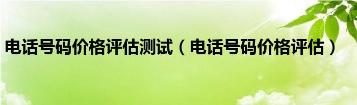 电话号码价格评估测试（电话号码价格评估）