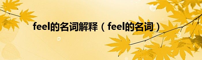 feel的名词解释（feel的名词）