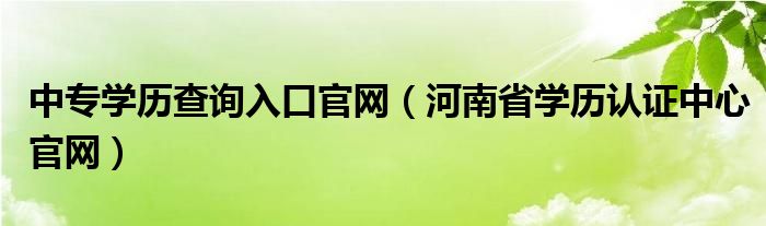 中专学历查询入口官网（河南省学历认证中心官网）