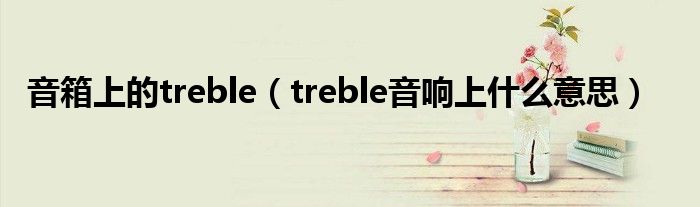 音箱上的treble（treble音响上什么意思）