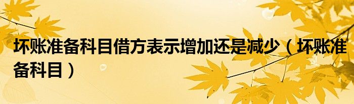 坏账准备科目借方表示增加还是减少（坏账准备科目）