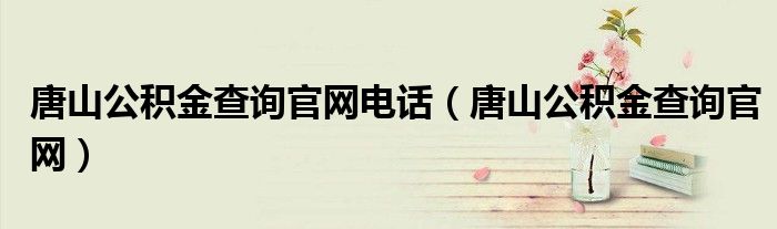 唐山公积金查询官网电话（唐山公积金查询官网）