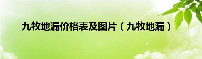 九牧地漏价格表及图片（九牧地漏）