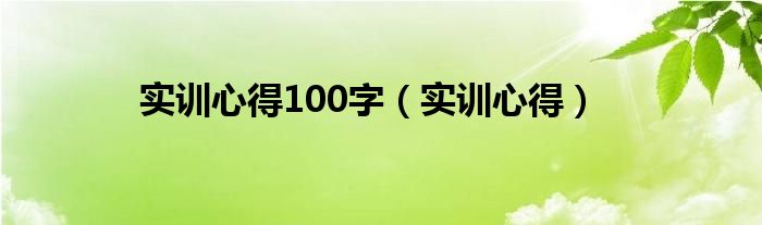 实训心得100字（实训心得）