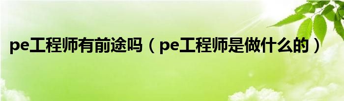 pe工程师有前途吗（pe工程师是做什么的）