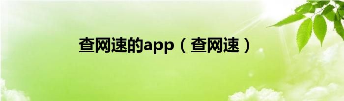 查网速的app（查网速）