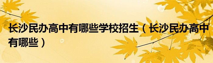 长沙民办高中有哪些学校招生（长沙民办高中有哪些）