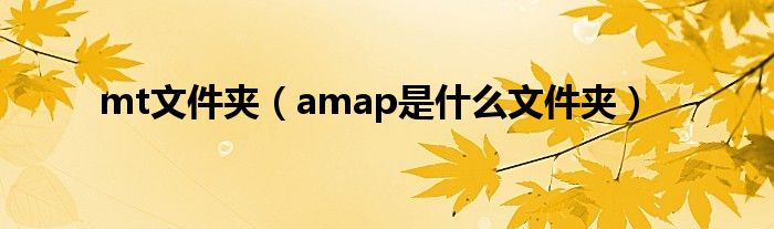 mt文件夹（amap是什么文件夹）