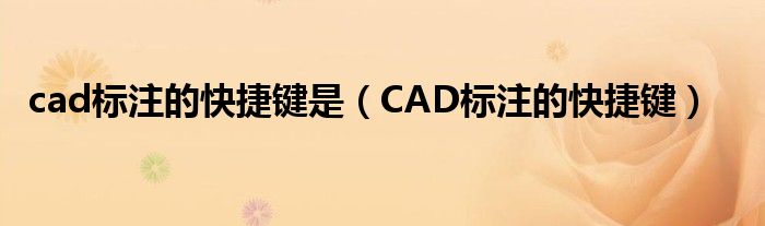 cad标注的快捷键是（CAD标注的快捷键）