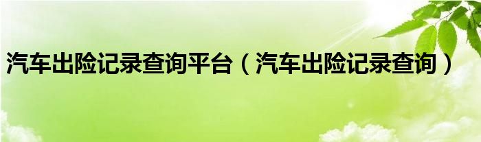 汽车出险记录查询平台（汽车出险记录查询）