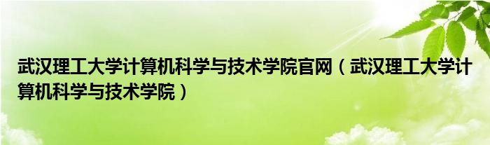 武汉理工大学计算机科学与技术学院官网（武汉理工大学计算机科学与技术学院）