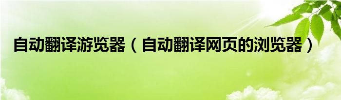 自动翻译游览器（自动翻译网页的浏览器）