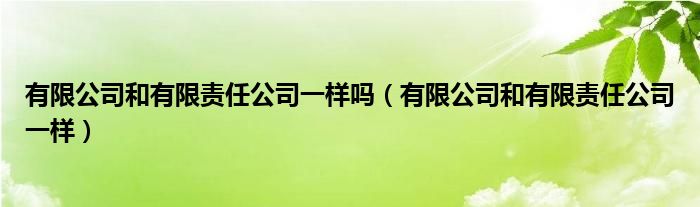 有限公司和有限责任公司一样吗（有限公司和有限责任公司一样）