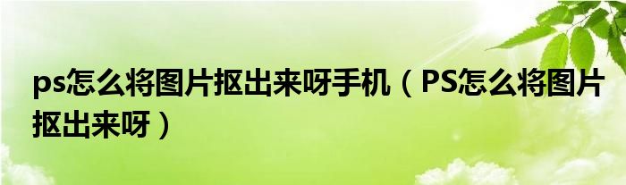 ps怎么将图片抠出来呀手机（PS怎么将图片抠出来呀）