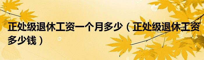 正处级退休工资一个月多少（正处级退休工资多少钱）